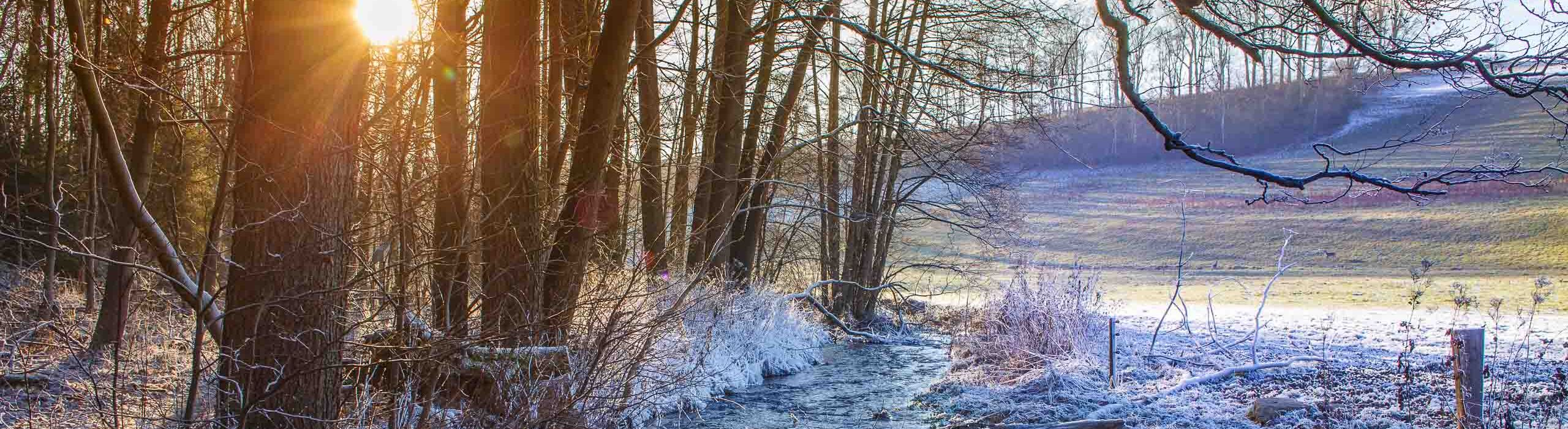 Wintersonne im Greifenbachtal