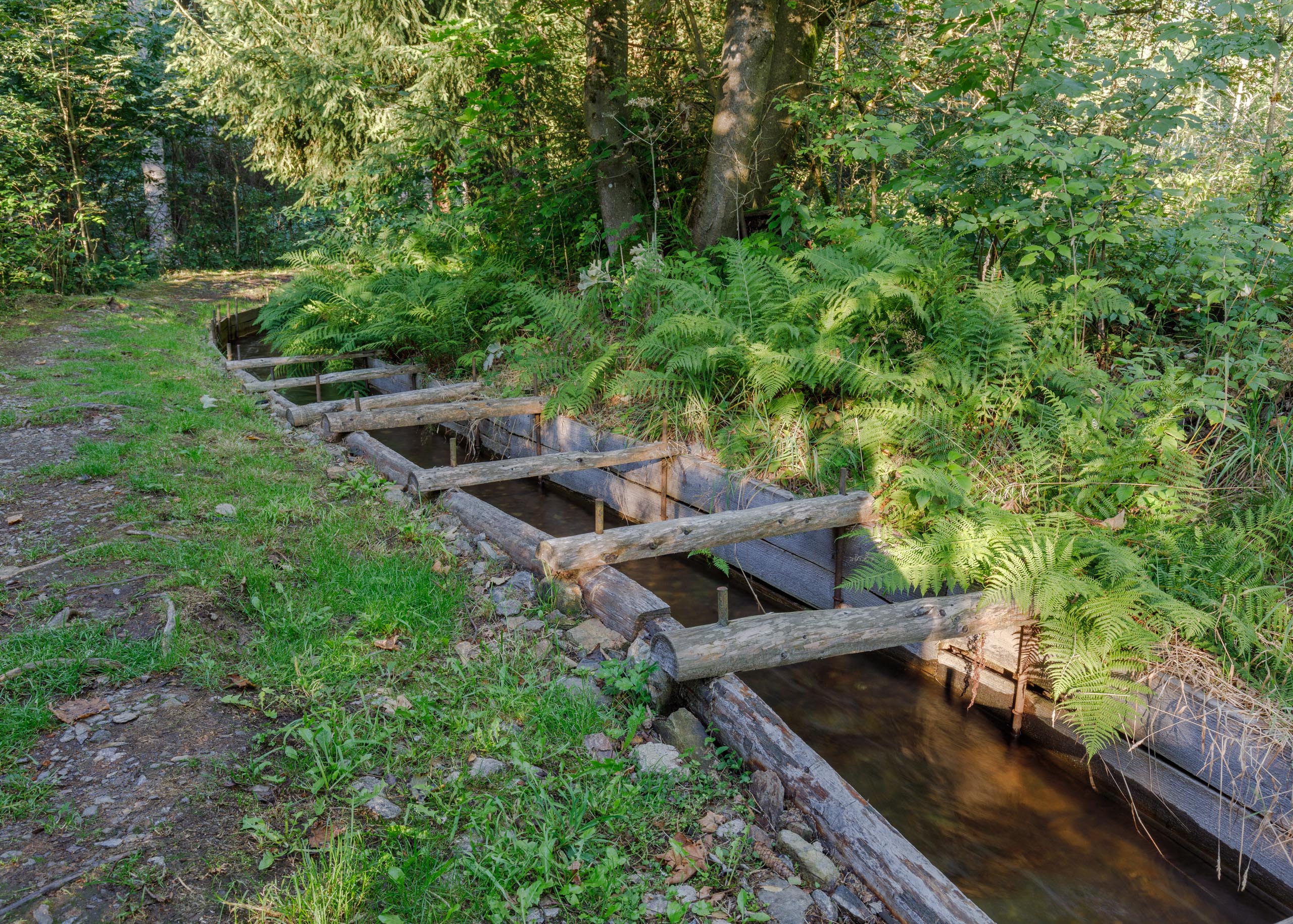 Der Röhrgraben im Greifenbachtal Der Röhrgraben im Greifenbachtal